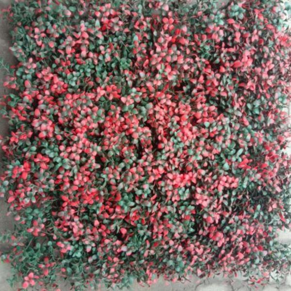 Easy Installation Artificial Fake Wall Grass 50cm*50cm Size With Excellent Performance And Low Maintenance