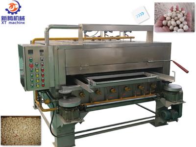 Coated Peanut Roaster Flat and Rotary Roaster Swing Roaster 100 kg/h capacity