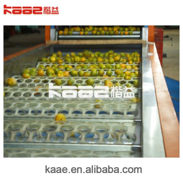 Full Auto Photoelectrical Fruits Grader Line For Fruits And Vegetables Sorting And Grading