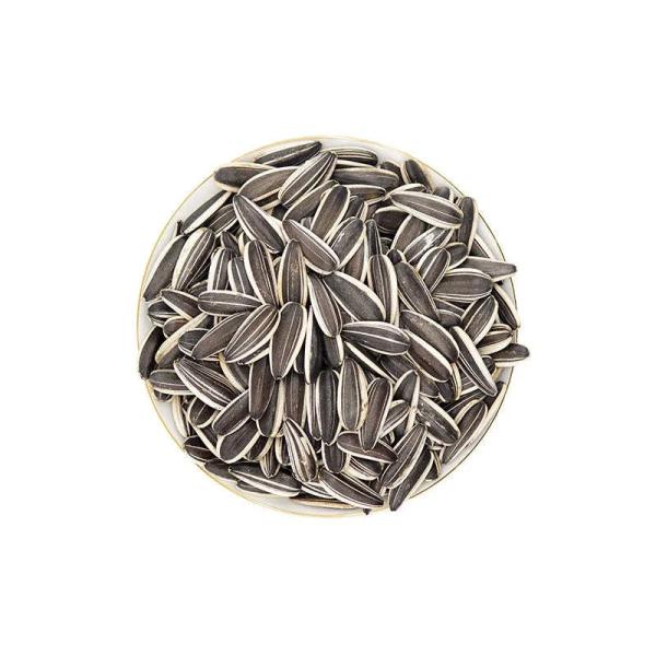 Processing Factory Wholesale High Quality Flavored Sunflower Seeds Hot selling agricultural products