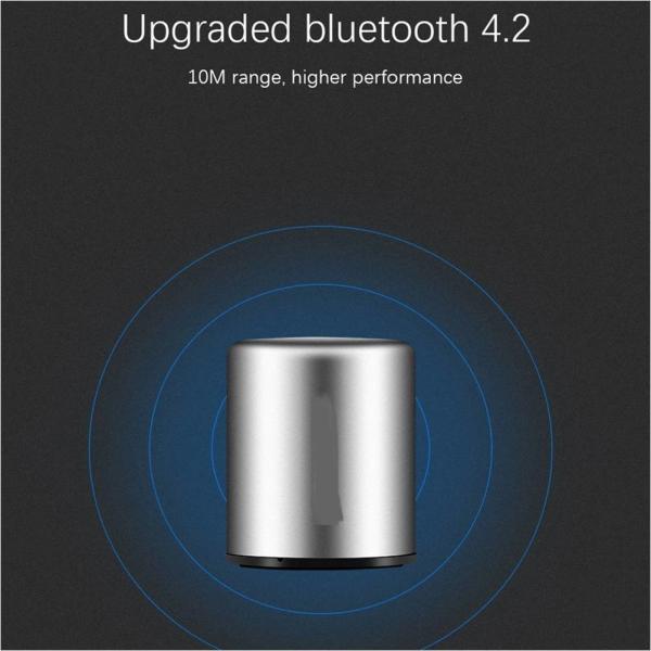 Producentre PDCMK10 Wireless Mini BT 4.2 Speaker With Microphone Phone Calling HD Super Bass Subwoofer Mini LoudSpeaker
