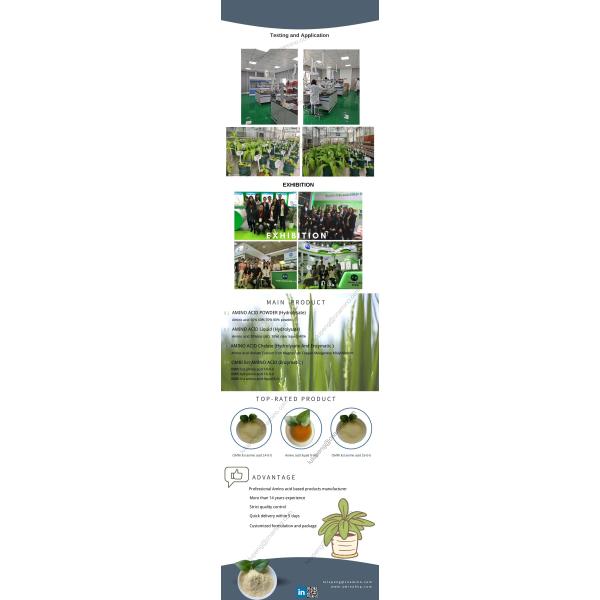 O ácido aminado agrícola do adubo do ácido aminado vegetal da fonte Chelated o boro Mo do zinco do magnésio do cálcio