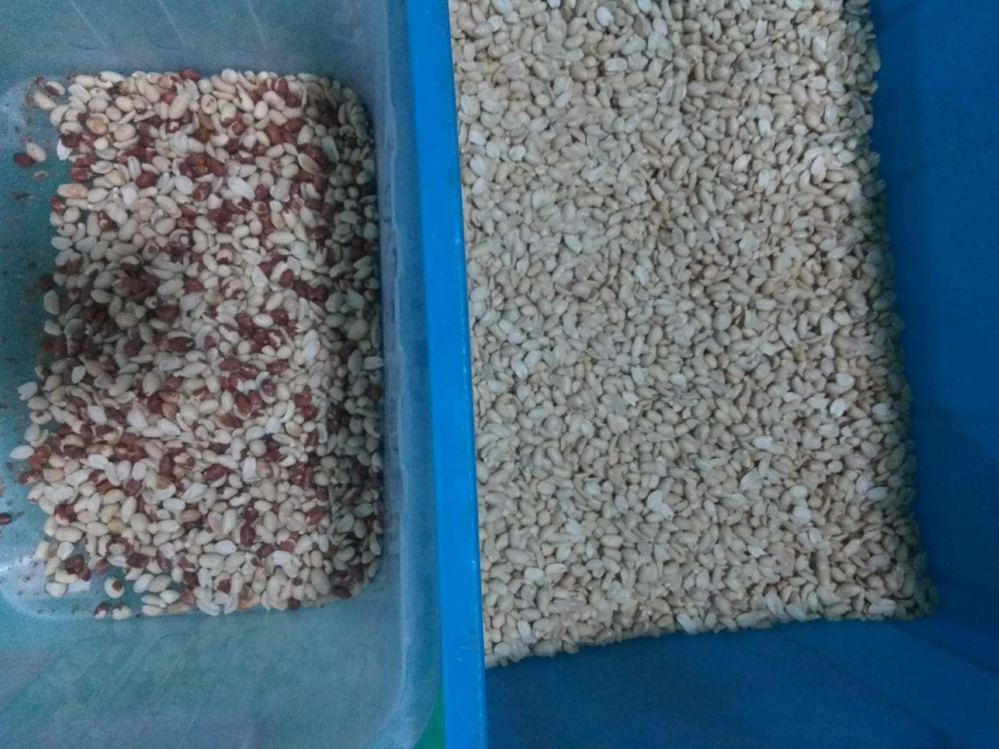 2023 Новый дизайн CCD Nuts Color Sorter Машина для разделения цвета грецкого ореха кешью кокосового ореха