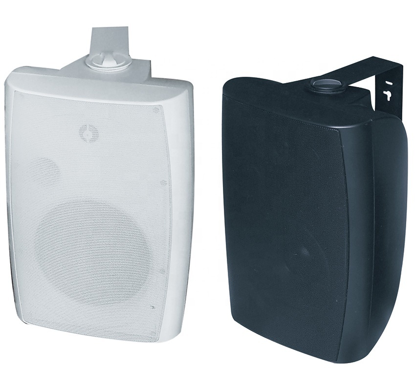 1 Inch Silk Tweeter And 8 Inch Woofer Coaxial Speaker ABS White And Black