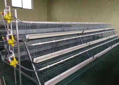 Q235 A Type Layer Chicken Cage