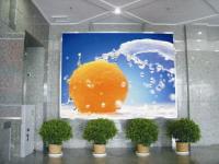 Panel de pantalla LED a todo color con paso de píxel de 5 mm, 32x32 puntos