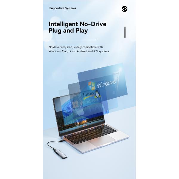 USB 3.1 Type C Hard Drive Enclosure Support M.2 SATA M.2 NVME PCIe