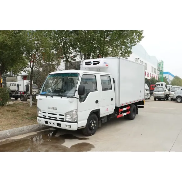 Double Row ISuzu Freezer Truck , Refrigerator Van Truck 3tons 4tons 5tons