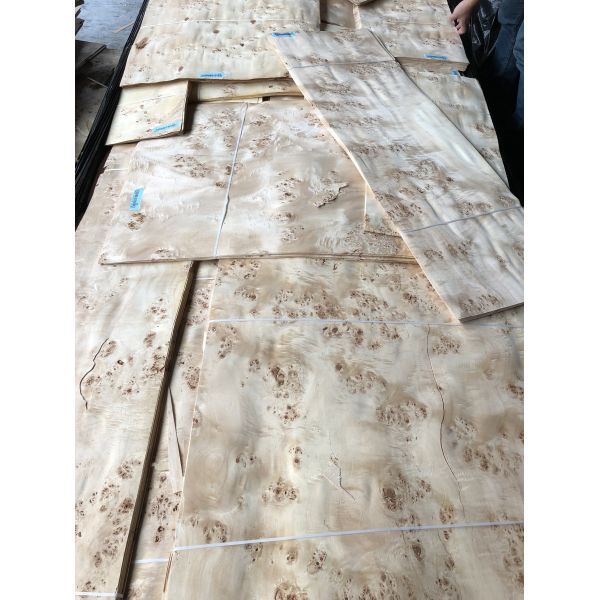 Mappa Burl Veneer Poplar Burl Jointed Panel for Fancy Furniture Making