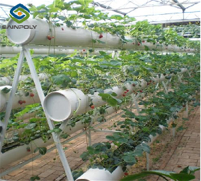 OEM Steel Frame Fruit And Vegetable Greenhouse For Strawberries
