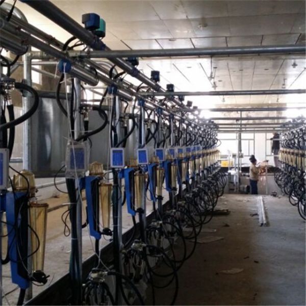Herringbone Milking Parlor with 380V/50Hz Power and CE ISO SGS FDA Certification for Dairy Cows