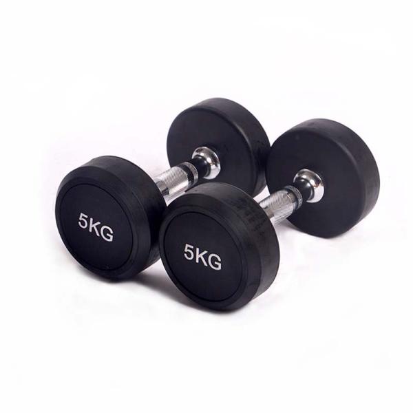 Rubber Weight Lifting Dumbbell Gym Fixed 2.5kgs Round Dumbbell Set Black
