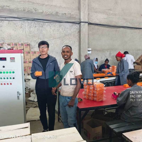 Automatic Soap Stamping And Cutting Machine Electric Cutting Machine With PLC System