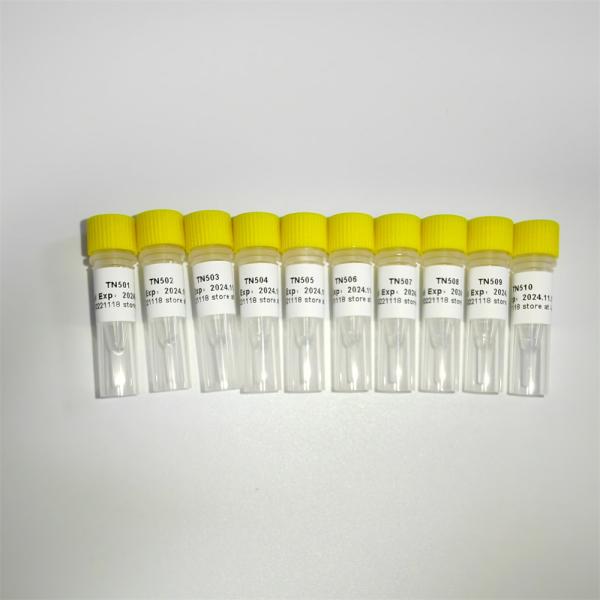 10μl NGS Library Construction Amplification Primer TN Primer Index List-A K211-A