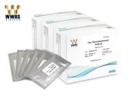 Jogos do tempo real de FluB um ensaio FIA Rapid Quantitative Test Kit da etapa em amostras orofaríngeas do cotonete
