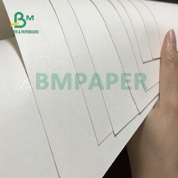 210gsm+15gsm Cup PE Film Coated Paper Good Brightness 615mm X 850mm