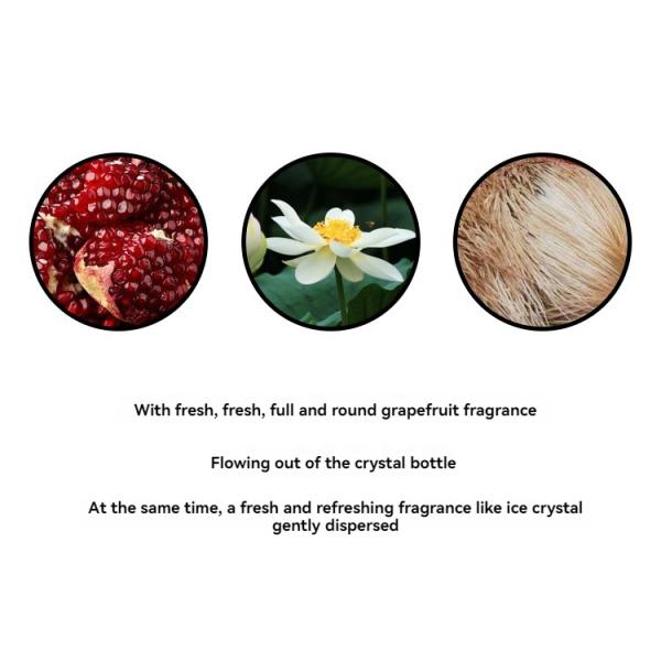 50ml Regular Size Fresh Flower Scented Long-Lasting Eau de Toilette Body Perfume Spray
