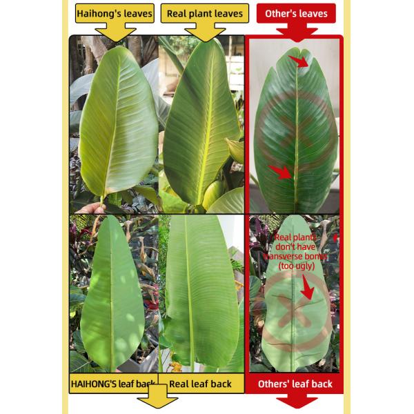 4ft 6ft 7ft Tall home decor artificial plants Banana Tree bird of paradise plant​ for Living Room Office Indoor Outdoor