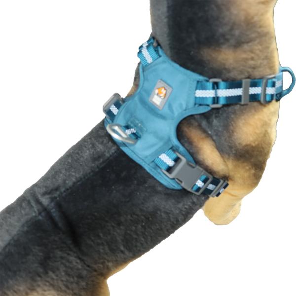 16 изготовленной на заказ голубой аварийной дюймов проводки собаки доказательства избежания для небольших собак срывают избежание доказательства анти-