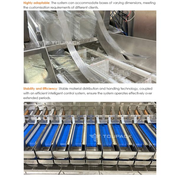 Automatic Plastic Box Weighing Filling Machine For Fruit And Vegetable
