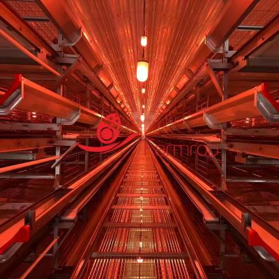 High Standards Layer Chicken Cage System with Double Water Line
