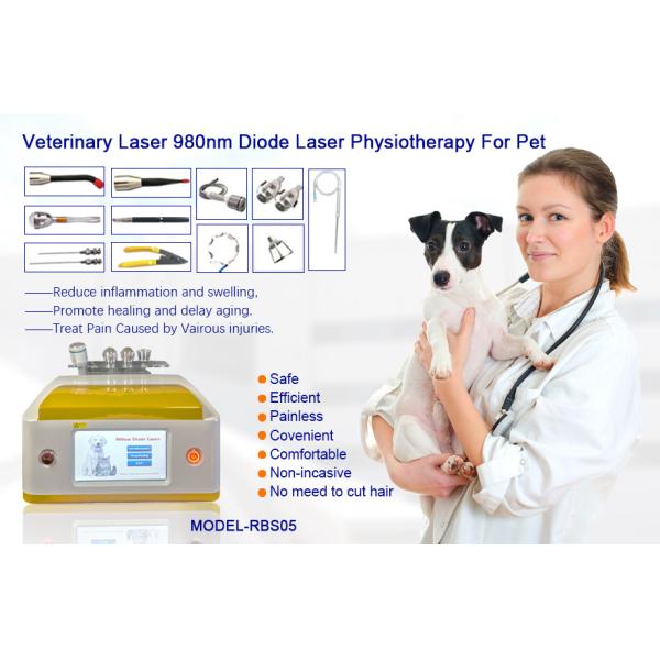 650nm 810nm 980nm 1064nm Diode Laser Hair Removal Portable For Animal Use