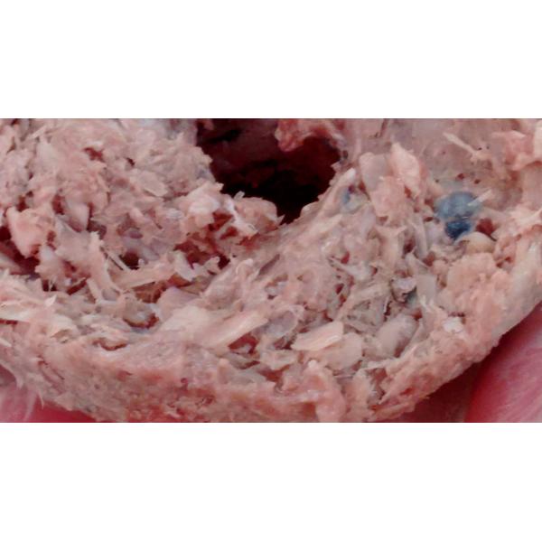 big river fish crusher machine stainless steel PG series with CE