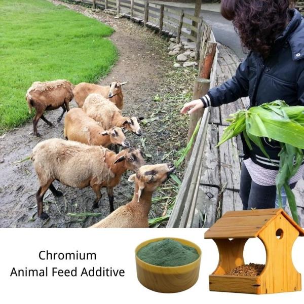Aminoácidos oligoelementos Proteína Cromo 8% Aditivo para a alimentação animal