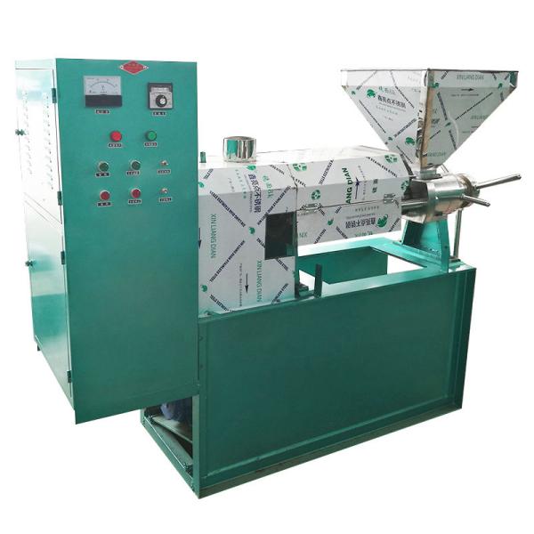 High Efficiency Making Sesame Automatic Oil Expeller For Home