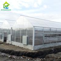 Cultiver des plantes Serre en feuille PC en polycarbonate à longue portée avec structure stable et assemblage facile