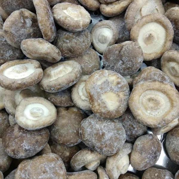 Sinocharm Wholesale Price Premium Frozen Mushroom High Quality 1/4 Cut IQF Frozen Shiitake with BRC a From China