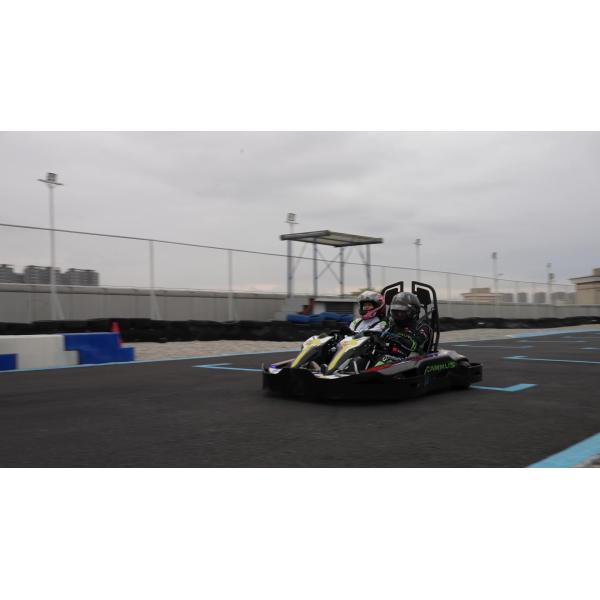 Батарея лития 48V 30Ah EV идет ременная передача педали Kart взрослая с 2 местами