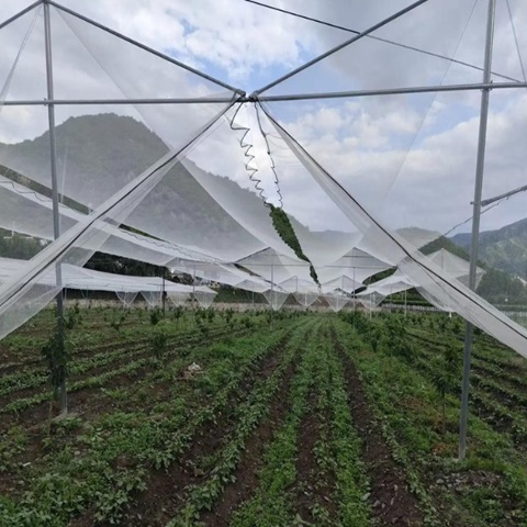 Effective Crop Anti Hail Netting With 0.8mm And 0.5mm Opening Sizes