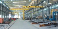 Construção de aço da oficina Q355 com o guindaste aéreo dentro da porta