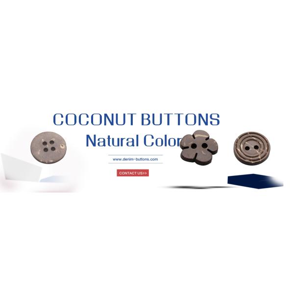 2 /4 продырявливают естественный кокос застегивают оптовый заказ