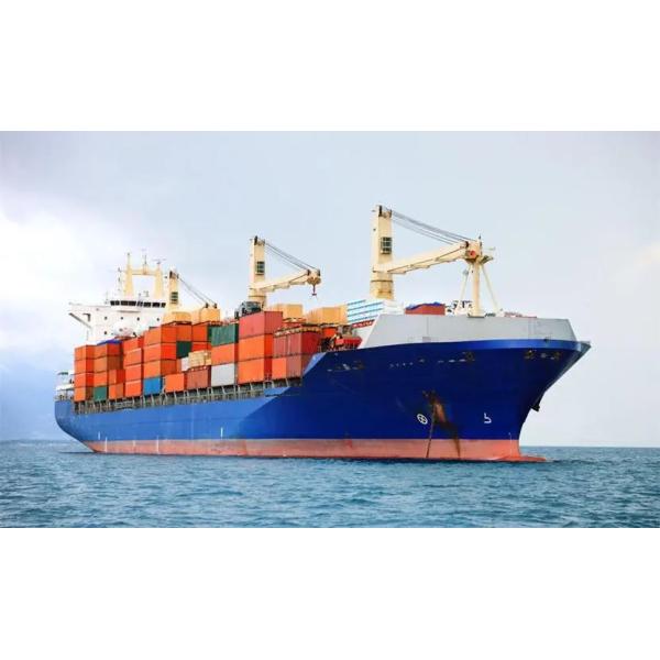FOB Professional Freight Forwarder China To India 7x24 Hour