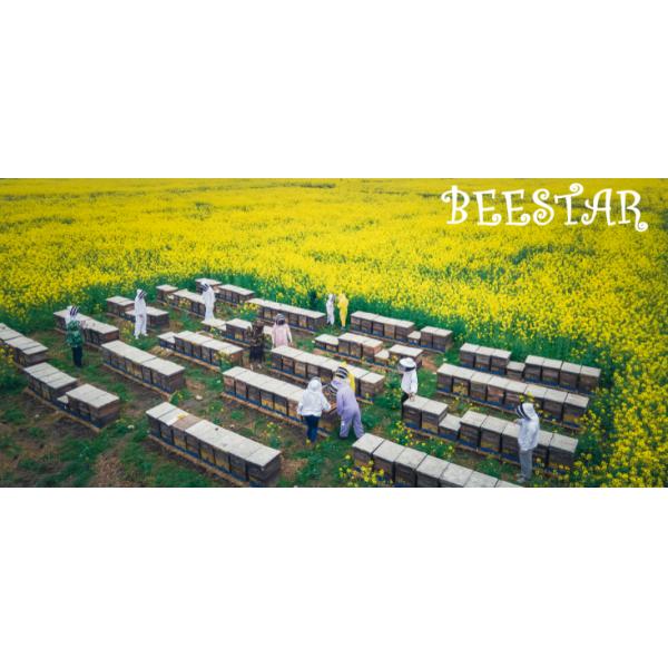 100% чистый натуральный пчелиный мед органический сырой липовый мед Никаких наркотиков