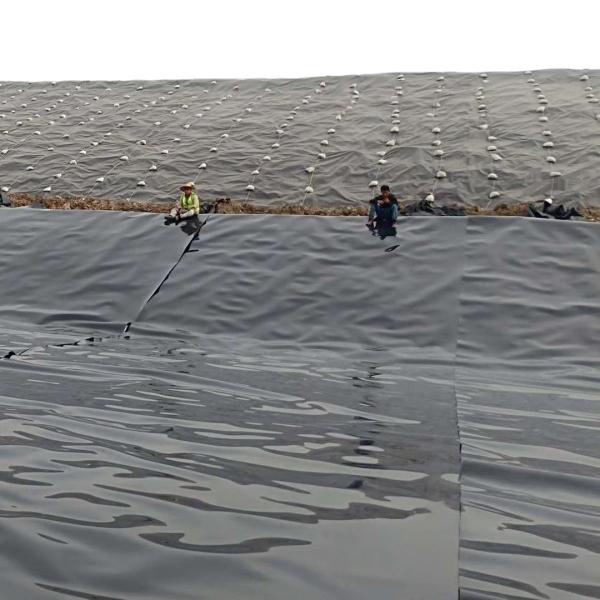 Black/Green/White/Blue 0.1mm-3mm HDPE Geomembrane Sheet Liner Perfect for Shrimp Pond