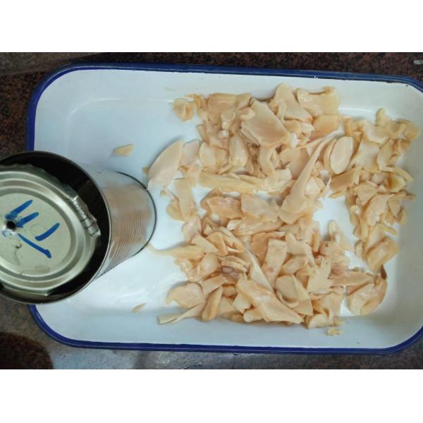 Natural Fresh Taste Canned Mushroom in 130g from Morocco for Your Requirements