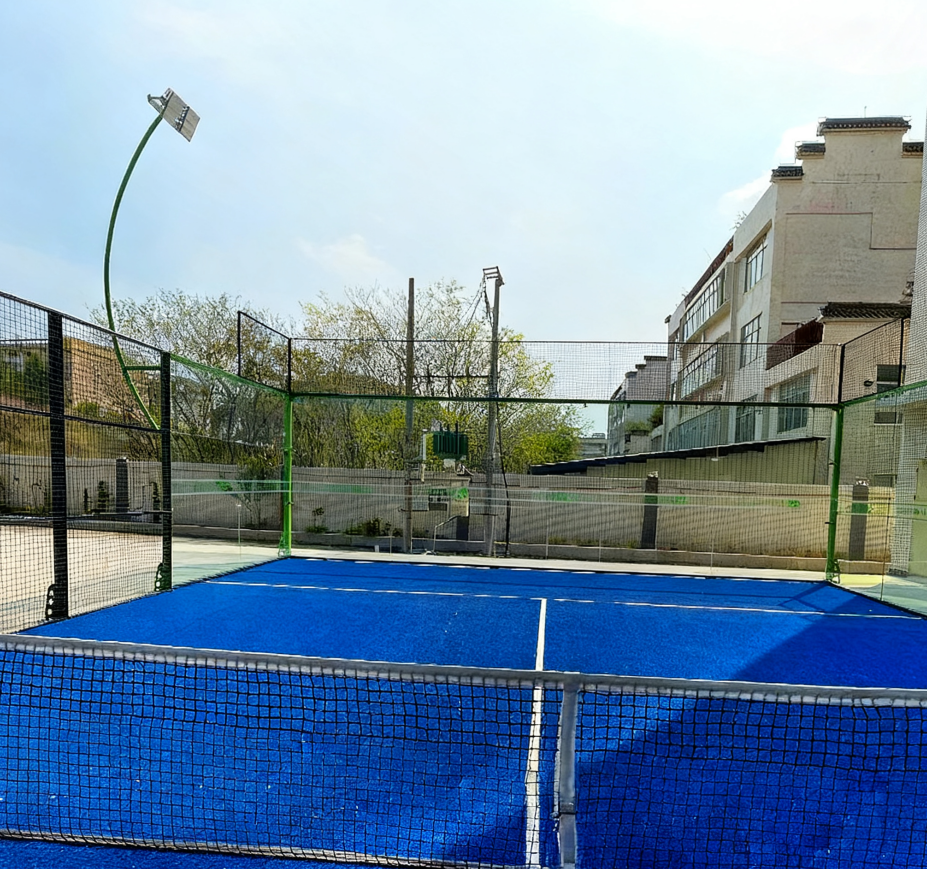 Shenzhen LDK Industrial Co., Ltd.