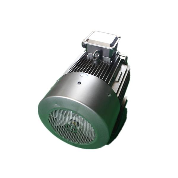1475RPM 3 Phase Squirrel Cage Induction Motor YE3 160M-4 11kW