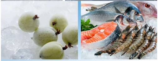 Custom Carbon Steel 5 Ton Ice Flaker Machine Evaporator Plant