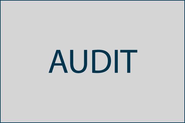 Transforming Ethics Audit Brief Detailed Report Data Analytics Improved Quality