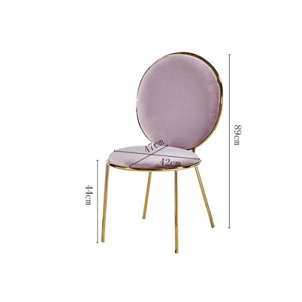 Fashionable Multi Purpose Hotel Modern Padded Dining Chairs