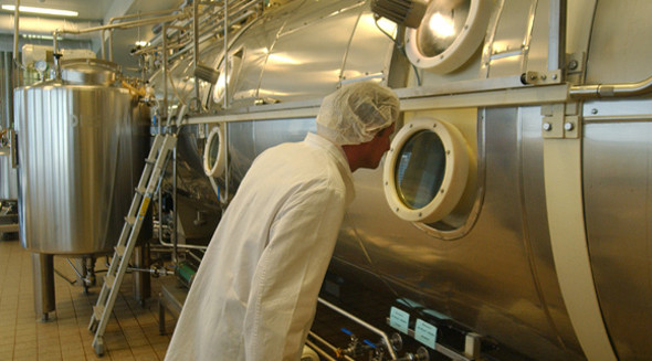 Отразите топление пара машины сушильщика пояса сетки вакуума Полисинг/горячей во