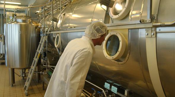 Espelhe o aquecimento do vapor da máquina do secador da correia da malha do vácuo de Polising/água quente