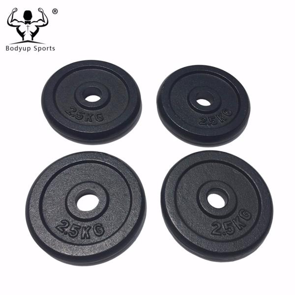 Cast Iron Black Painting Standard Weight Plate / Weight Disc