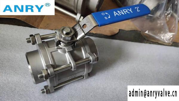 3PCS BSP NPT Nipple Threaded CF8M Body Reinforced Ptfe Valve