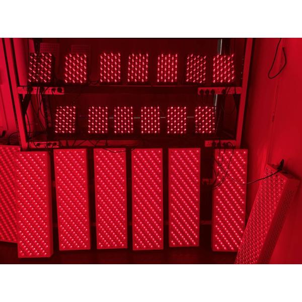 660nm 850nm Красный светодиодный светотерапевтический аппарат 1000W инфракрасное освещение устройство