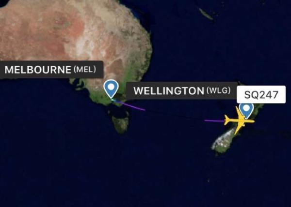 Safety Air Freight From China To Oceania Wellington With Consolidation Service